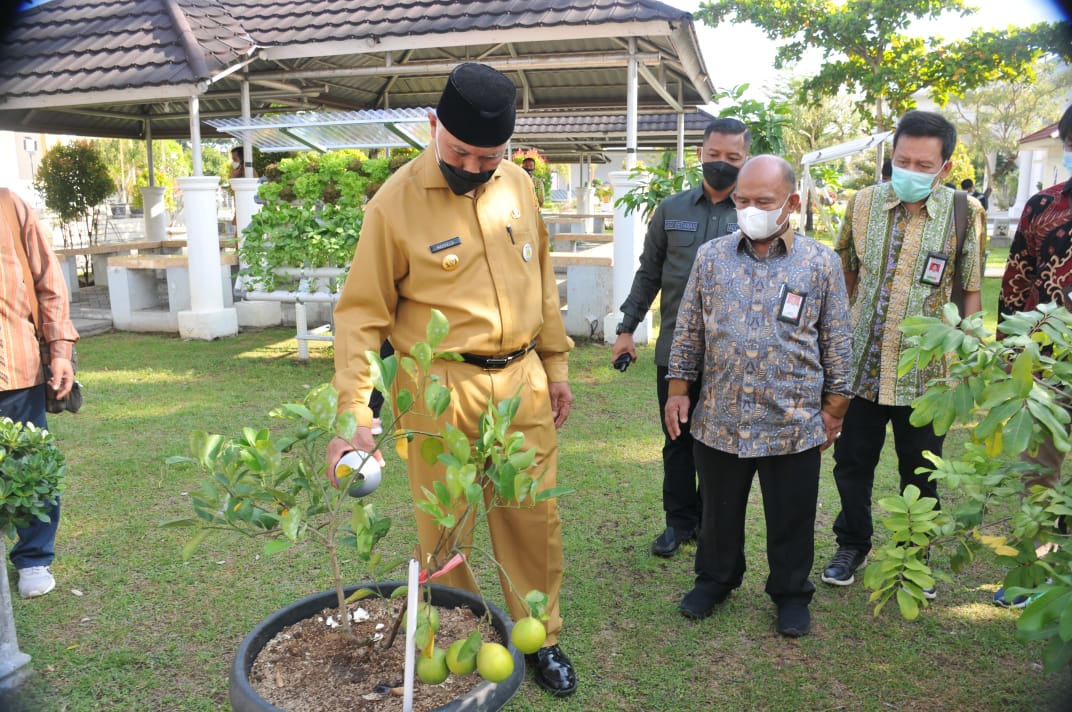 Temu Kemenperin RI, Mahyeldi Harapkan Pupuk Organik Dapat Dorong Hasil Produksi Pertanian Di Sumbar.