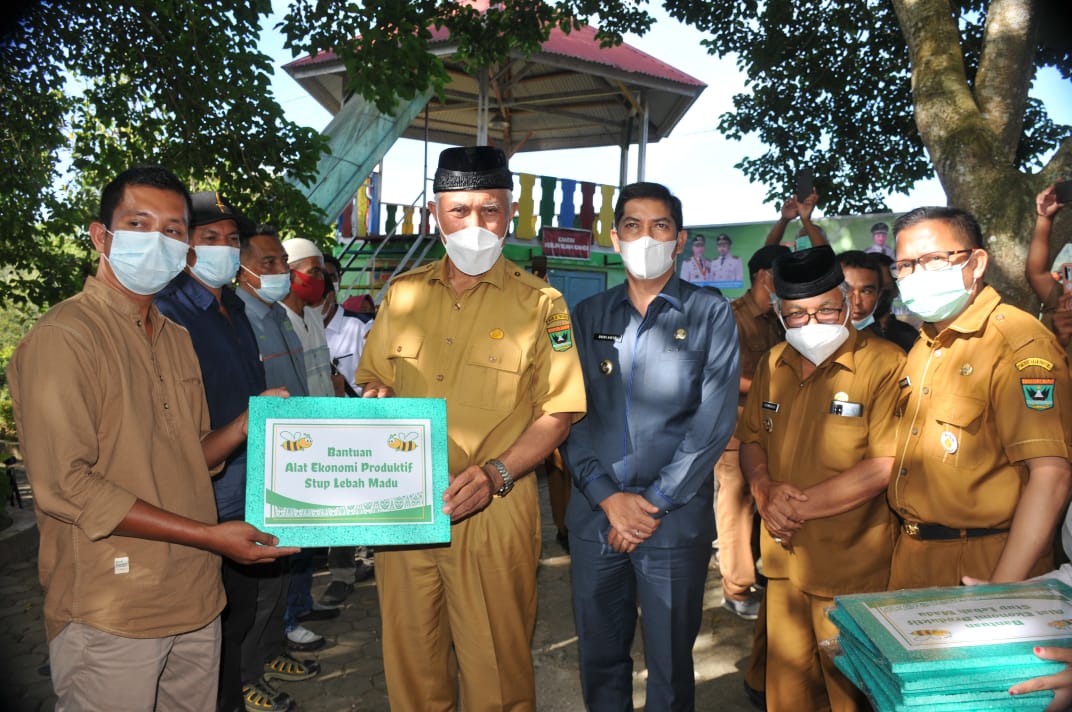 Gubernur Sumbar Canangkan Gerakan Produksi dan Minum Madu Galo-galo Kelulut di Sumbar