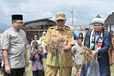 Panen Perdana Bawang Merah, Gubernur Mahyeldi Apresiasi Inovasi Komunitas Moslem Loyalty Rabbani dalam Menjaga Keberlangsungan Dunia Pertanian di Sumbar