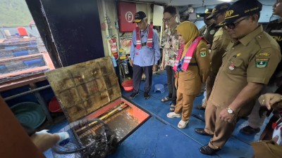 Tinjau Panen Ikan Kerapu 20 Ton di Pessel, Gubernur Mahyeldi Berharap Makin Banyak Kelompok Pembudidaya di Sumbar untuk Penuhi Kebutuhan Pasar Dunia