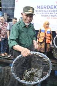 Gubernur Mahyeldi Lepas Ekspor 11 Ton Ikan Kerapu Sumbar Menuju Hongkong