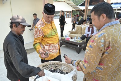 Makin Serius Tingkatkan Produksi Gambir, Gubernur Mahyeldi Siapkan Pergub Tata Niaga Produk Turunan